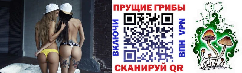 Псилоцибиновые грибы GOLDEN TEACHER  Аксай 