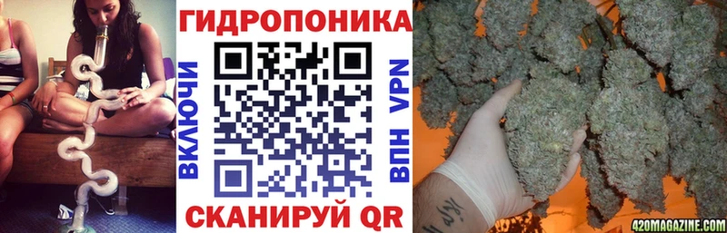 купить  сайты  Аксай  МЕГА   Бошки Шишки планчик 